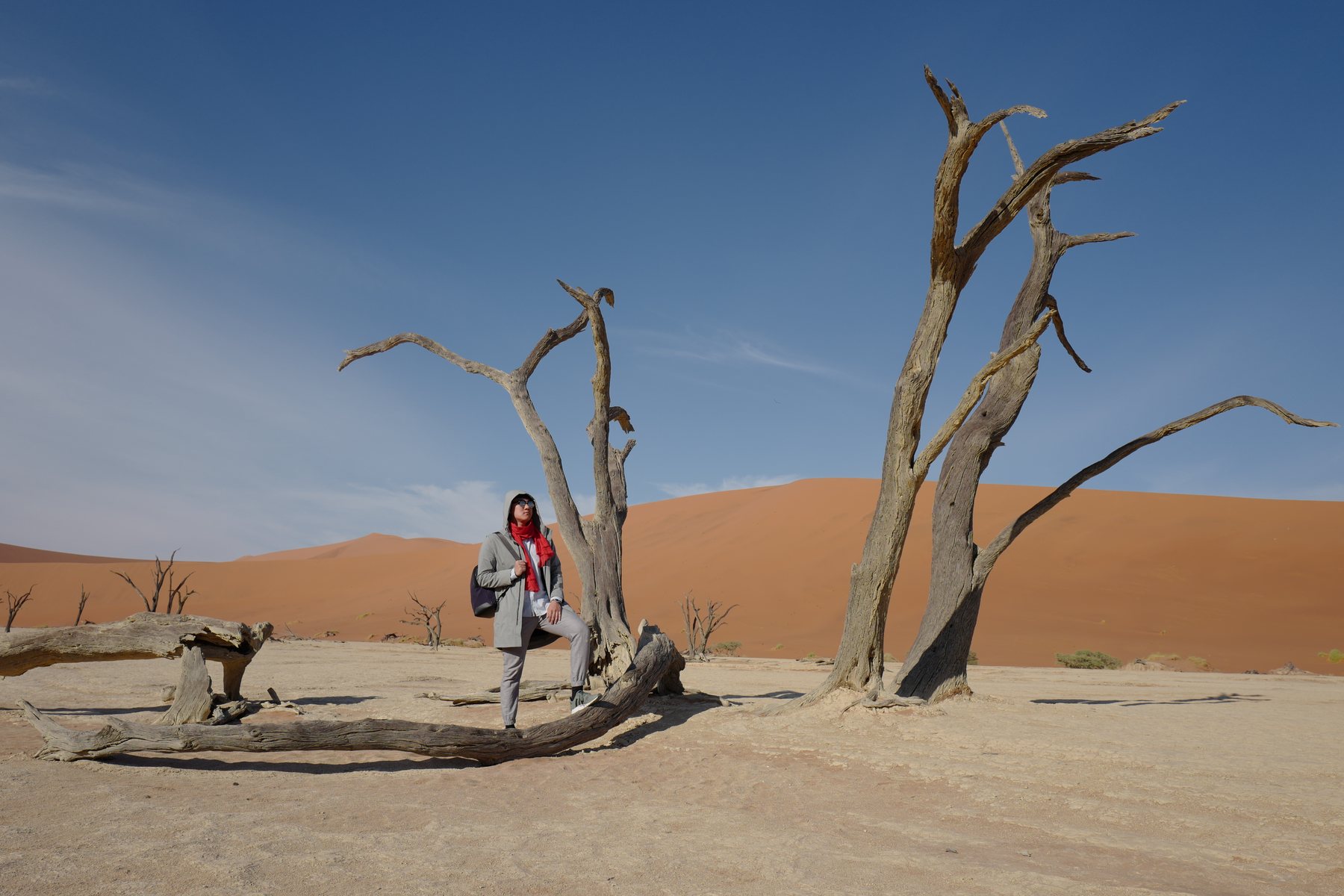 Traveler at Deadvlei, Namibia